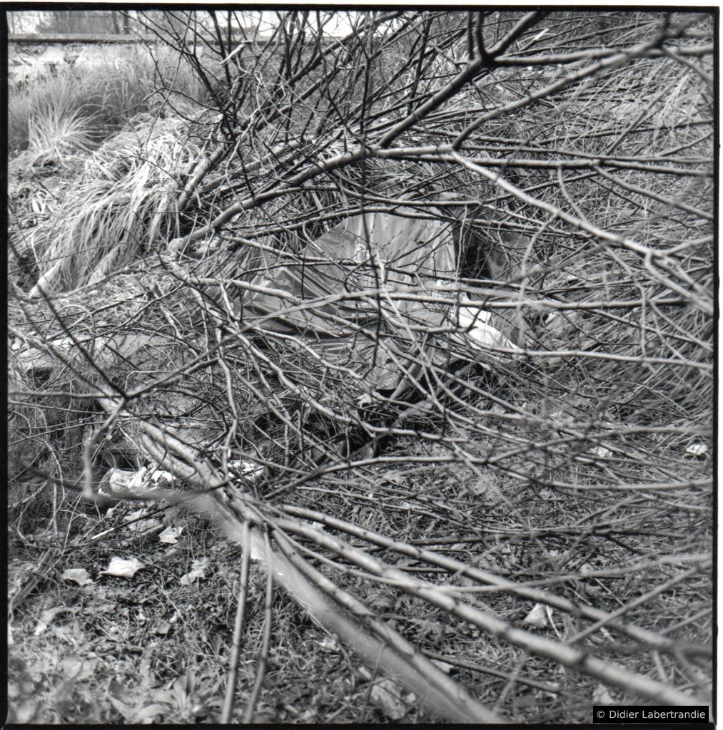 canal 22 ruine écrasée